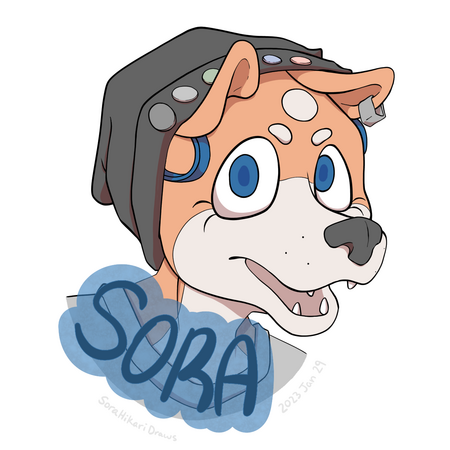 Sora Hikari Sora Hikari